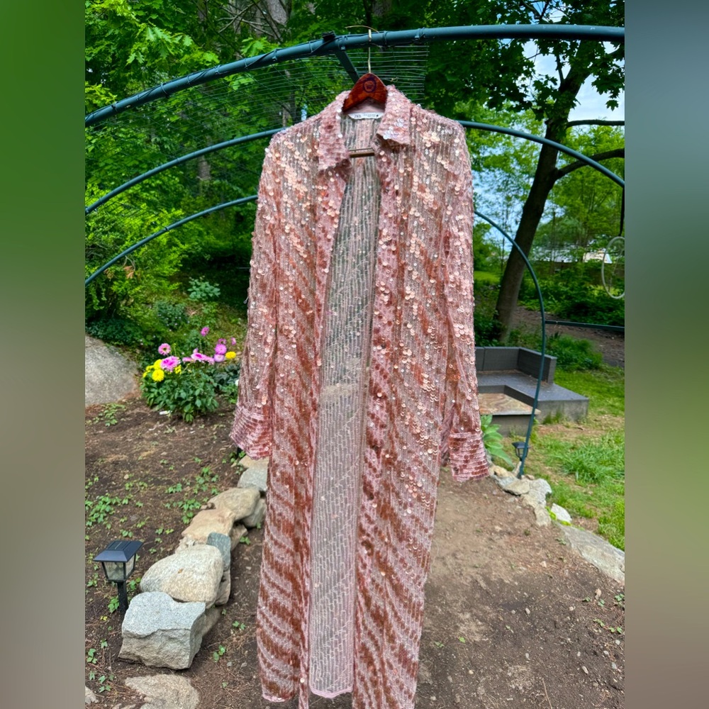 ZARA BUTTON DOWN SEQUINED SHEER DUSTER DRESS - Picture 6 of 14